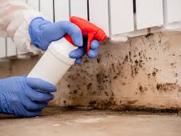 Nescopeck, PA Mold Removal Company